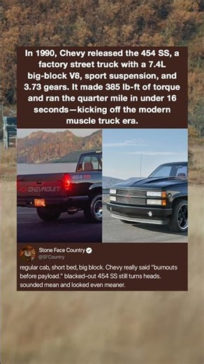 In 1990, Chevy released the 454 SS, a factory street truck with a 7.4L big-block V8, sport suspensio