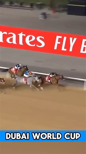 HORSE RACING CLUB on Instagram: "FOREVER YOUNG LOST! • HIT SHOW WINS THE DUBAI WORLD CUP!!!!! #Meydan • 🇺🇸 🏆 HIT SHOW wins the Dubai World Cup (G1 • $12,000,000)!!! • 🇪🇸 🏆 HIT SHOW ganó la Dubai World Cup (G1 • $12,000,000)!!! • • • #Horse #Horses #HorseRacing #Instahorse #Lovehorses #Horseriding #Horselove #Horsesofinstagram #Thoroughbred #Racehorse #Thoroughbredhorses #Derby #KentuckyDerby #CaballosDeCarrera #Purasangre #Secretariat #ThoroughbredHorse #Caballos #dubaiworldcup #TripleCrow
