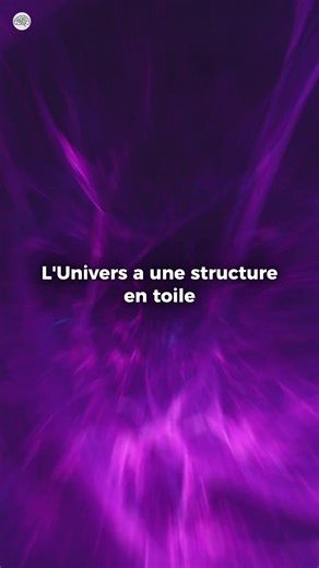 À grande échelle, l’univers n’est pas réparti au hasard. Les galaxies s’organisent en filaments gigantesques, reliés entre eux, formant une immense toile cosmique. Cette structure est façonnée par la matière noire, invisible mais dominante, qui agit comme un squelette gravitationnel. La matière ordinaire s’y accroche, créant des amas de galaxies aux intersections, tandis que d’immenses vides cosmiques séparent ces filaments sur des centaines de millions d’années-lumière. Cette toile s’est formée