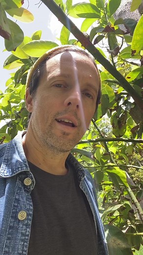 104K views · 1.1K reactions | Take a walk with me on Meditative Story, a brilliant podcast with a purpose. On this walk we’ll journey to Peru where I’ll share some insights I found on a personal quest to renew peace in my life. I had so much fun (and cried many tears) reviewing writings and photographs to help turn this profound experience into a Meditative Story for your ears and awareness to enjoy. Let’s go.  https://listen.meditativestory.com/JasonMraz_Guest | Jason Mraz | Facebook