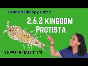 Grade 9 Biology Unit 2: 2.6.2 Kingdom Protista Saquama | ሳቋማ