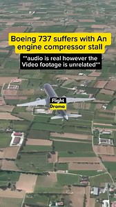 195K views · 1.3K reactions | Boeing 737 suffers with a compressor stall #pilot #viral #captain #ATC #planes | FlightDrama | Facebook