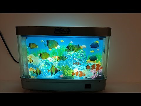 Nostalgia Live - “Living Aquarium” Evening Live Stream Light Up 2000s Fish Decor (#1)