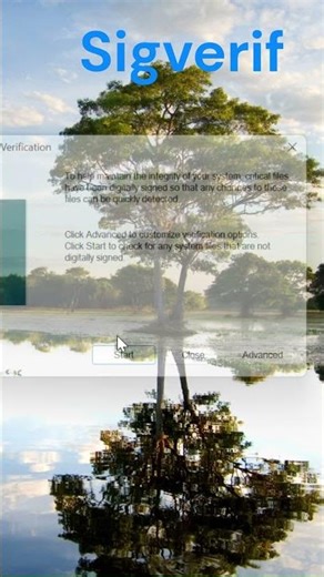 Laptop/PC Hang Problem Fix | Secret Windows Trick 🔥