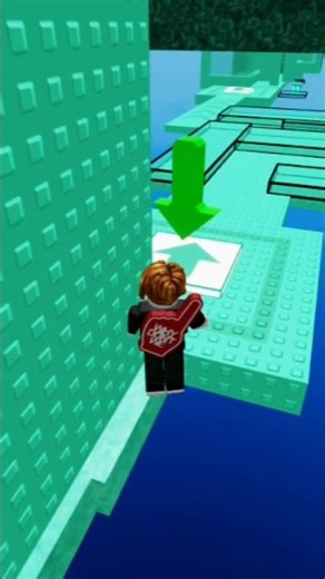 Roblox : NO JUMPING OBBY (6)