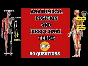 Advanced Anatomical Position and Directional Terms Quiz! #7. Anatomy MCQ's. Human Body Quiz