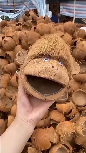 "How Coconut Waste Turns Into Strong Natural Fibre 🥥💪"