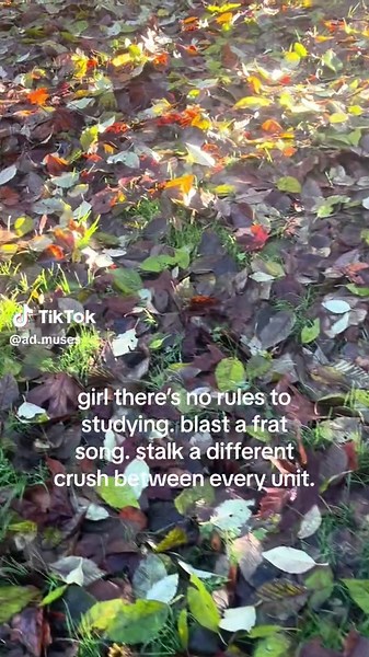 Creative Study Tips for Effective Learning