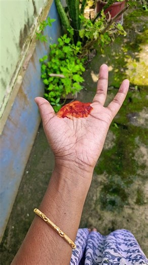 Here's a tutorial for viral thread magic tricks.