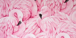 90 Flamingo Quotes to Help You Stand On Your Own Feet