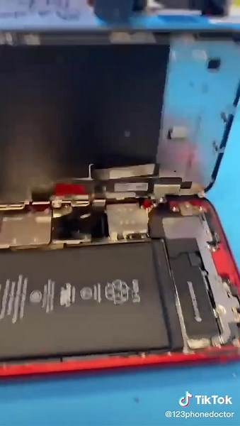 iPhone 11 Screen Black & Blue Issue: Fix Tutorial