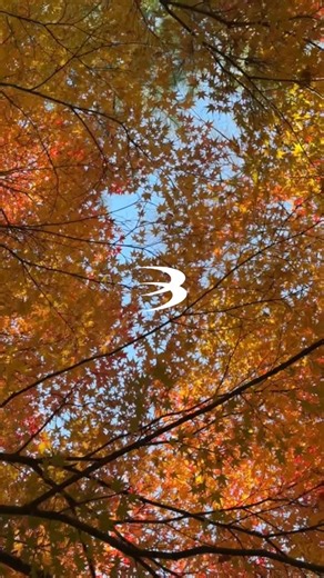 Enjoy our one sale out of the year, for 48 more hours. Worldwide shipping. Visuals by @filmpandas | CLUB PARADISE