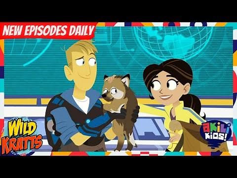 Wild Kratts | The Mystery Of The Little Howler | Akili Kids!