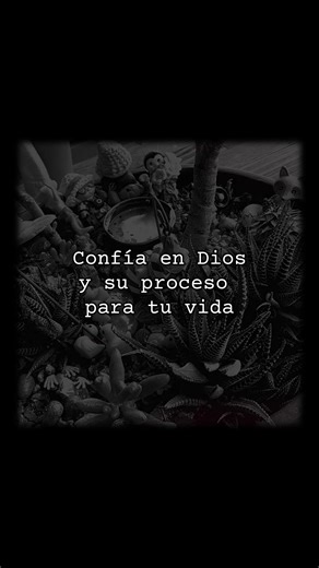 La claridad llega a quienes no abandonan el proceso. Confía en Dios. El tiene el control de tu vida.