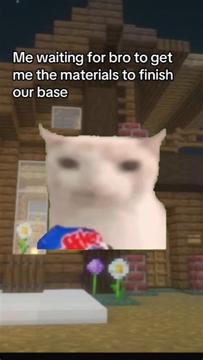 Join GalaxyMC now, we got teams economy and way more! You can join with the ip: play.galaxymc2025.eu and its for both Java and bedrock more info in bio! #minecraft #smp #meme #cat #wlw