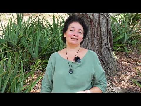 IFAP 2026 - Secteur Examens et Concours avec Marie-Noëlle