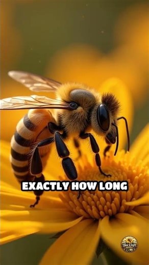 Bees Fight Pests with Hive Heat Secrets