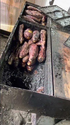 【NHKドキュメント72時間】つくば石焼き芋をちょっとだけ撮影