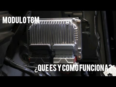 ¿Qué es el módulo TCM y cómo funciona?