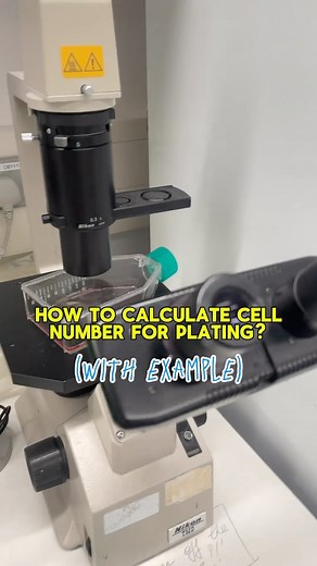 Elina on Instagram: "SAVE THIS FOR YOUR FUTURE LAB WORK🧫 There’re other methods of calculating cell numbers for plating, but this is the method I use. In this example we assume that the starting cell concentration is 6.1 x 10E6, we are plating 12 wells (1 ml of cell solution per well), and we are plating 0.3 x 10E6 cells per well. Hope it helps! 🙏🏻 #phd #lab #cell #cells #laboratoryscience"