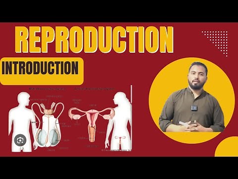 Ch # 18 Reproduction | Sexual and Asexual Reproduction Class 12