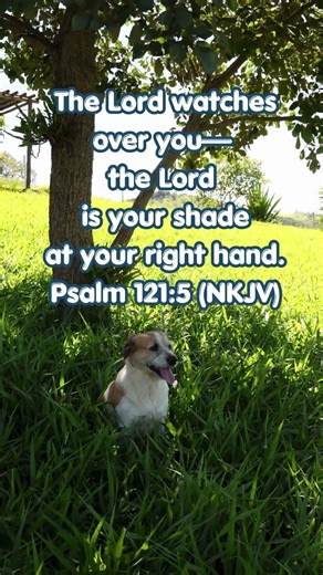 God Is Your Shade ☀️🐾 | Psalm 121:5