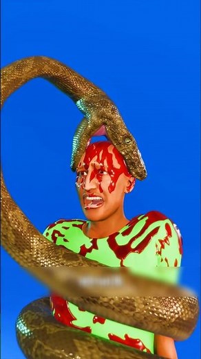 Snake Attacks On Humans