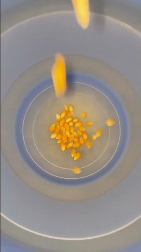 how to make the BEST air popped popcorn