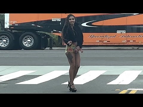 Exploring San Diego Dalbergia & Roosevelt Chapter 2