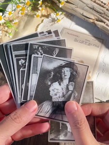 Vintage Junk Journal Ephemera Scrapbooking Supplies Translucent Vellum Paper Stickers Card Making Decal Art Aesthetic for Adults (Character Dark -1)