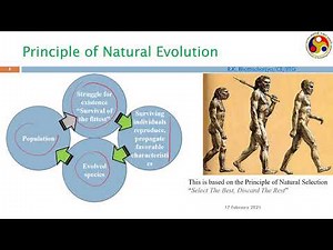 Genetic Algorithms Part 1 (Unedited)