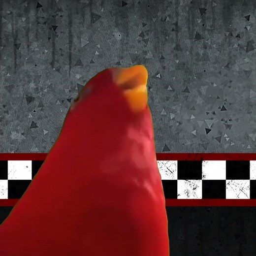red bird laughing meme