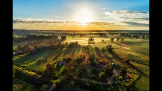 Cultivating Change: The Future of Carbon Farming in Europe | Smart Carbon Farming