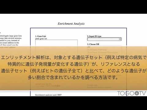 GeneSetDBで遺伝子解析とエンリッチメント解析を行う