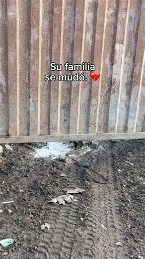 SE MUDARON Y LOS DEJARON ENCERRADOS!! 💔