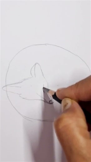 Sleeping Fox Drawing Easy Pencil Sketch Tutorial #shorts