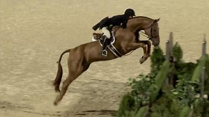 Hunters: A Winning Round