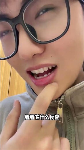 Heartbroken Blueberry: Unraveling the Parrot's Secret Betrayal