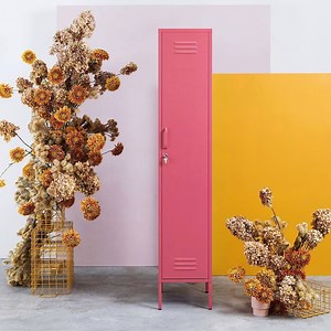 3 comments | These STYLISH LOCKERS Are Serving Serious High School Vibes  | For The Home Australia | Facebook