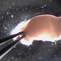 비디오: 쥐의 자궁에서 3D 자궁내막 오가노이드 확립