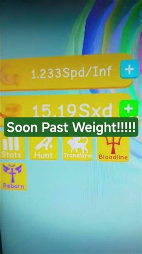 Soon Past Weight On No Limit Lifting Simulator From Roblox!!!!!