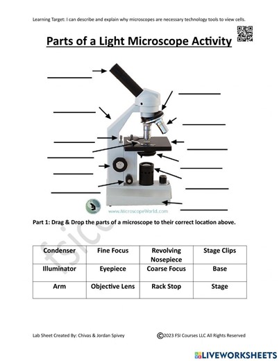 Cells & Parts of a Microscope Interactive with video worksheet