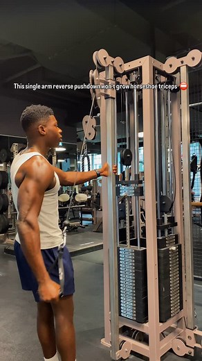 Single arm reverse pushdowns are key for building horseshoe triceps when done with control not passive pushdown ✅ Follow for daily fitness tips #bodybuilding #explorepage #musclegain #fitnesstips #gym #fitness #gainingmuscle | Lucky Egwabor
