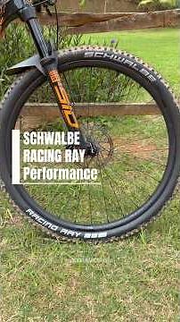 Schwalbe Racing Ray MTB tires offer the best value for money 💪 #mountainbike #mtb #bikeshorts