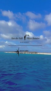 Bonaire Yacht Charters just wrapped up an epic downwinder to Klein Bonaire! 🌊✨ We spent the day kiting across crystal-clear waters. From the thrill of the ride to the laid-back vibes, it was a perfect blend of adventure and relaxation. Want to join us next time? Keep an eye on the @bonaireyachtcharters socials for updates on the next edition! Kiters and non-kiters are more than welcome on this trip 🏝️🌅🌊! #kiteschool #kitesurfers #kitelife #kitesurfparadise #bonaire #downwinder #bonaireboattr