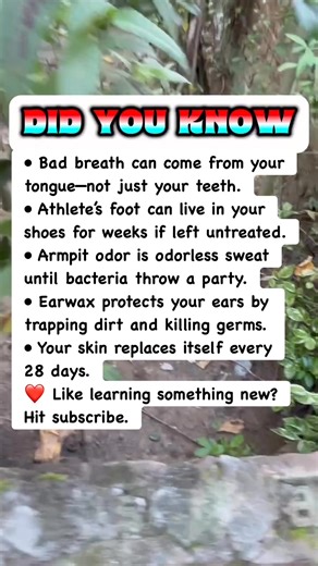 205K views · 1.8K reactions | Gross Body Facts You Should Probably Know 濫 #facts | Devlop Express | Facebook