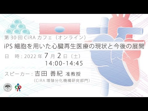 iPS細胞を用いた心臓再生医療の現状と今後の展開