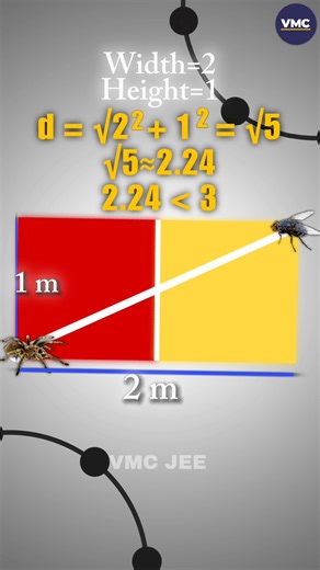 Vidyamandir Classes | 🕷️ What will be the shortest way for the spider? A spider wants to reach its target in the least possible distance. But here’s the twist —... | Instagram