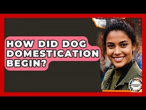 How Did Dog Domestication Begin? - Anthropology Insights