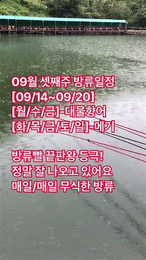 지금 너무 잘나와요 #향어낚시 #메기낚시 #낚시 #향어 #낚시터 #메기 #향어채비 #향어낚시터 #대명낚시터 #붕어 #붕어낚시 #장어 #향어떡밥 #메기채비 #향어미끼